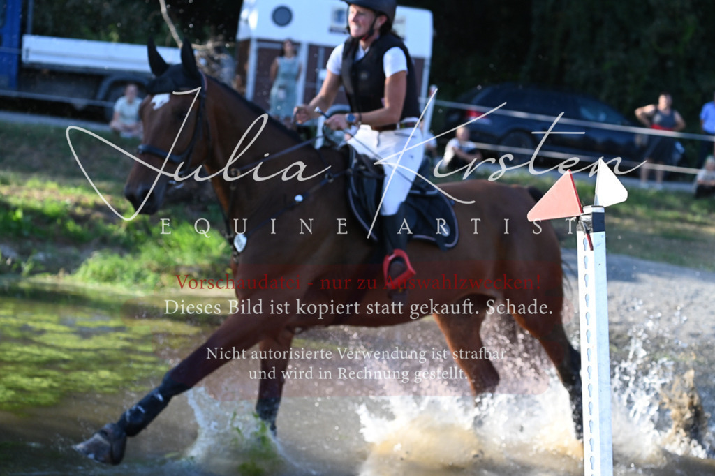 DSC_9042 | Pferde- und Turnierfotografie in Westsachsen. Pferdeportraits, Auftragszeichnungen und intuitive Kunst.
