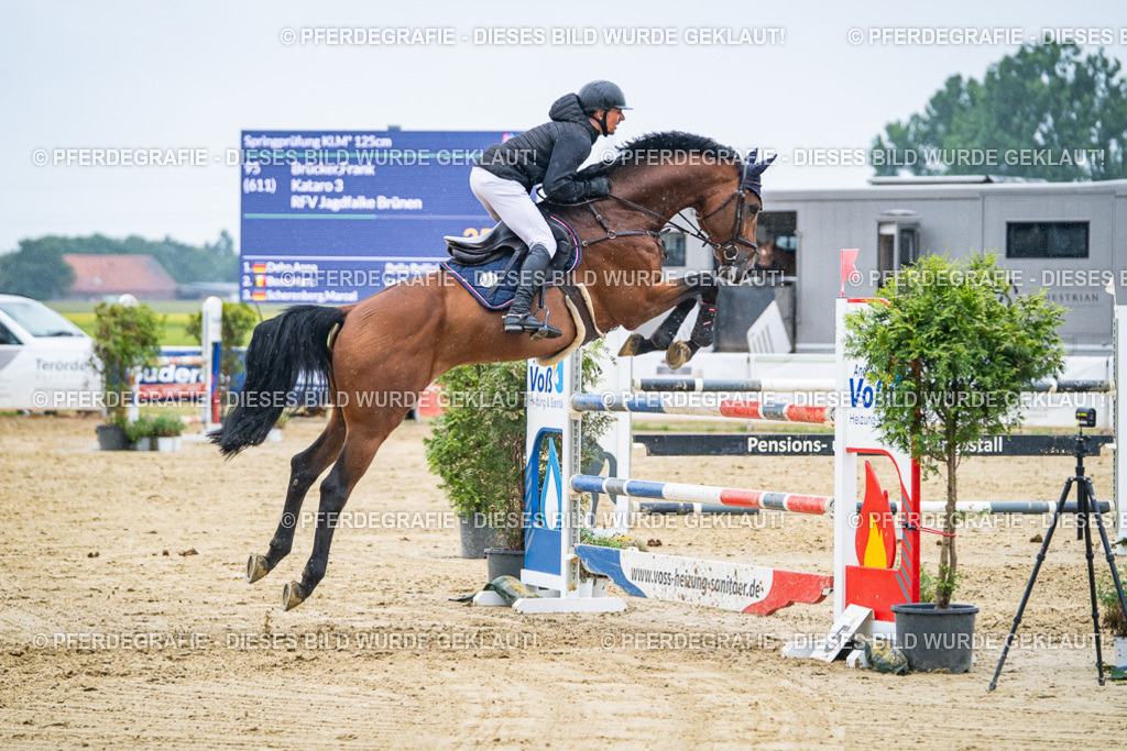 DSC09649 | Pferdegrafie