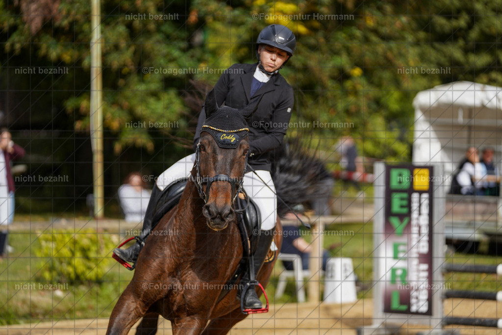 20231008-SN_01293 | Diessen am Ammersee, 2023, Dressur- und Springturnier, Reitsport, Turnierfotografie, Pferdebilder, Reitbilder, Turnierfotografen Bayern, Fotoagentur Herrmann