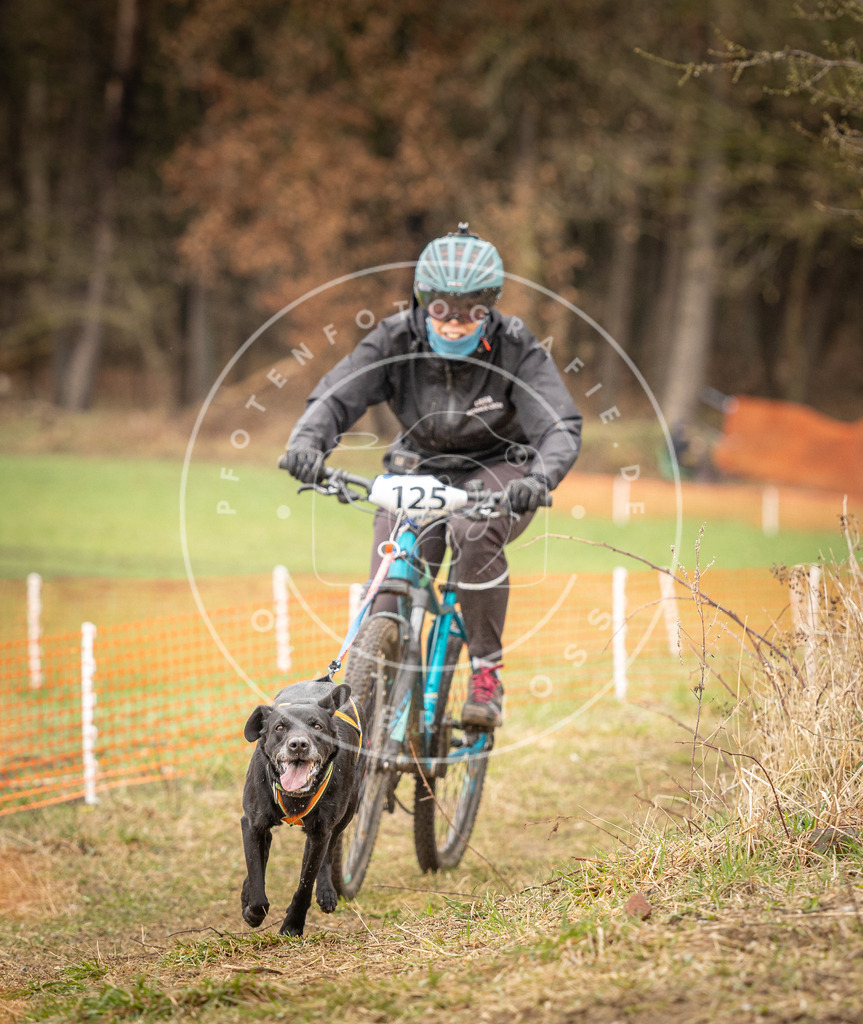 DV3A1161 | Hundefotografie, Tierfotograf, Pfotenfotografie, Fotoshooting Hund, Hunde Portrait, Hundesport, Hundeportraits, Heideshooting, Hunde, Sportfotograf, Hundefotograf, Turnierhundsport, THS,  - Realisiert mit Pictrs.com