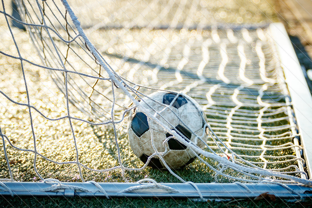 20220316_JSpicselweb_1DX_0965 | Dein Fotograf aus dem Landkreis Stade für Sport und Events - Realisiert mit Pictrs.com