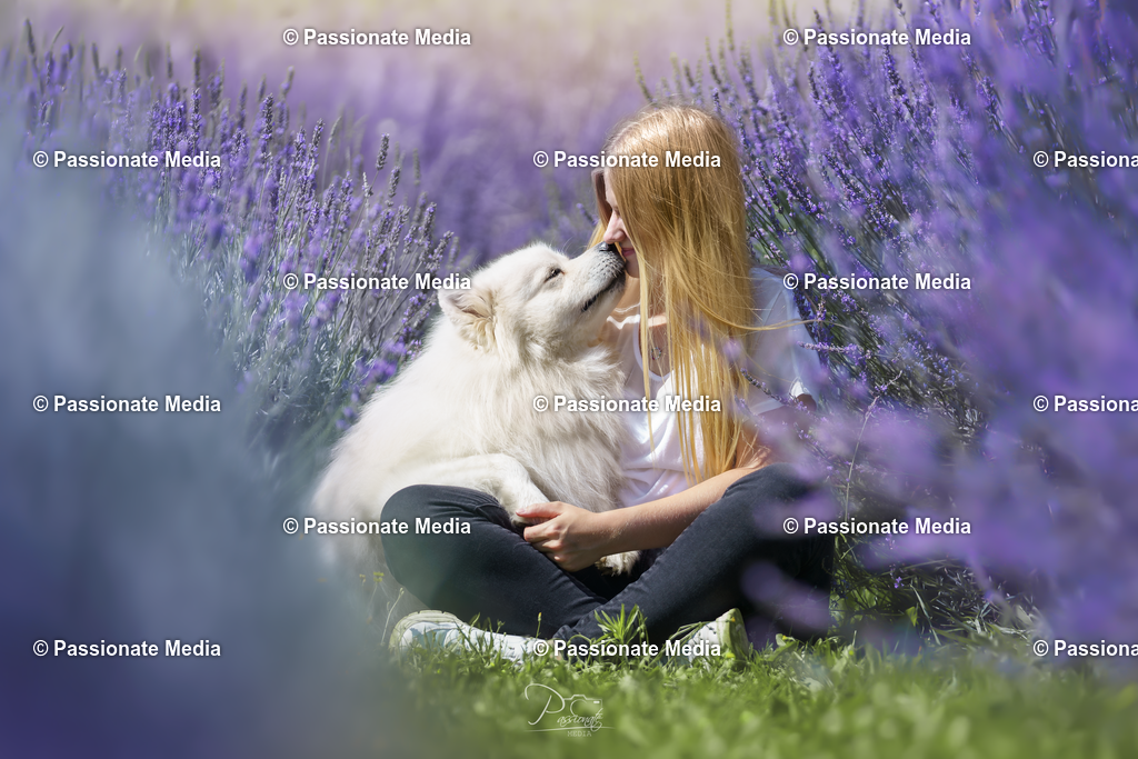 _DSC1137 | Passionate Media, dein Fotograf aus Brandenburg, Märkisch Oderland, im Bereich Motorsport, Autos und Motorräder sowie Events und auch Hunde. Shootings oder auch Eventbegleitungen können bei mir gebucht we