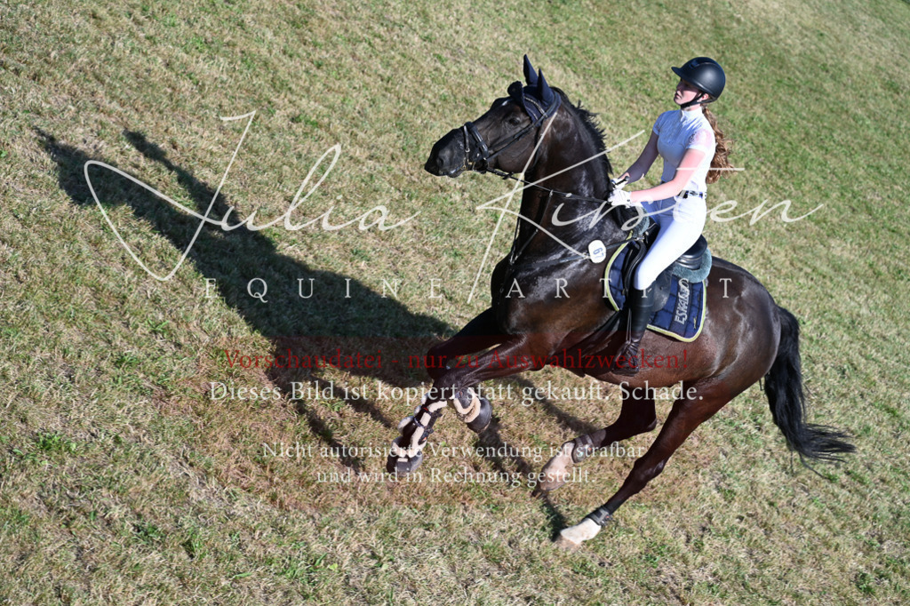 DSC_2495 | Pferde- und Turnierfotografie in Westsachsen. Pferdeportraits, Auftragszeichnungen und intuitive Kunst.