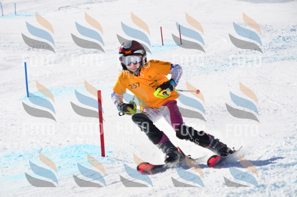 C8490 | holidayphoto