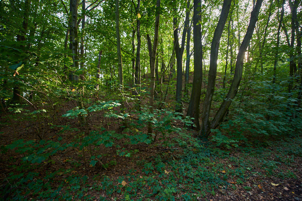 Die Kuckauer Schanze 01 | Bedeutsame Landschaften Deutschlands - Realisiert mit Pictrs.com