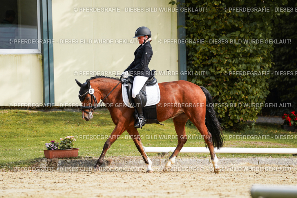 DSC04570 | Pferdegrafie