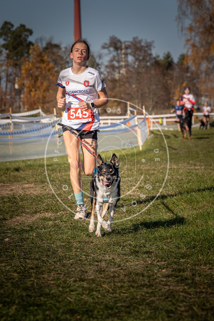 CaniXpix_0L8A7663 | Hundefotografie, Tierfotograf, Pfotenfotografie, Fotoshooting Hund, Hunde Portrait, Hundesport, Hundeportraits, Heideshooting, Hunde, Sportfotograf, Hundefotograf, Turnierhundsport, THS,  - Realisiert mit Pictrs.com