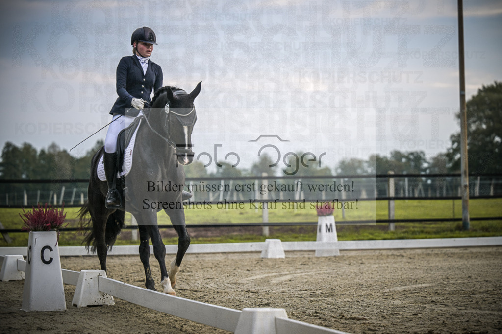 DOS_2717 | Entdecke hochwertige Reitturnierfotos von Foto Oger. Professionell, emotional und authentisch – jetzt Lieblingsmomente im Shop bestellen.Deutschlandweite Turnierfotografie. - Realisiert mit Pictrs.com
