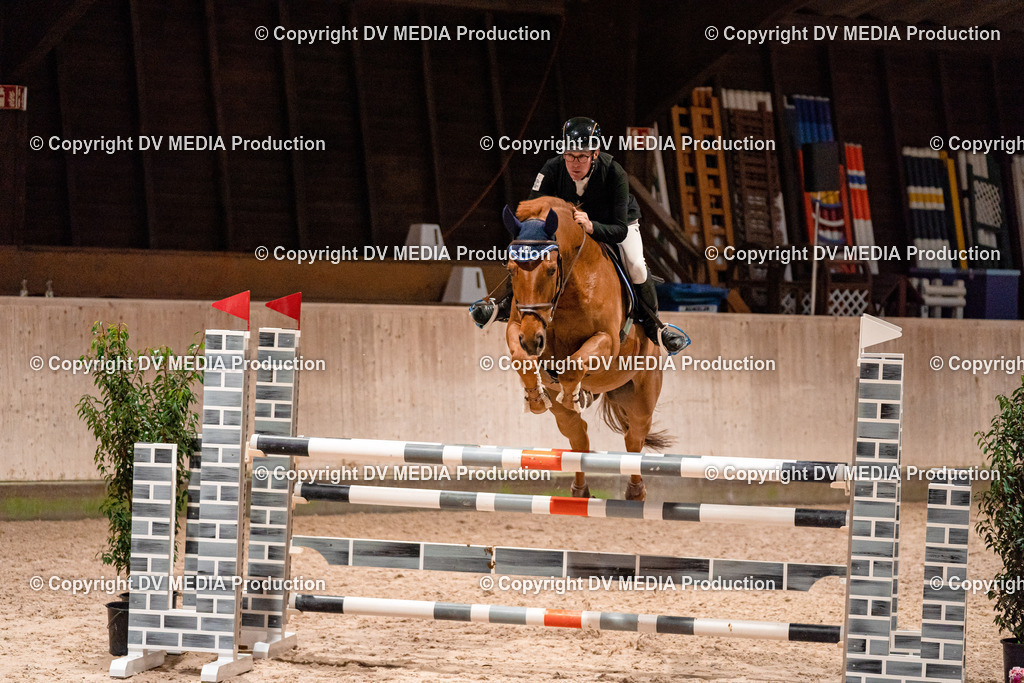 Springen Tag 1-893 | dv-media-shop - Realisiert mit Pictrs.com