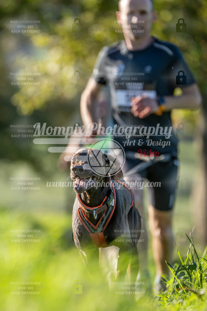 MompixPhotography_20TSB_E3_Run-70 | PayLife