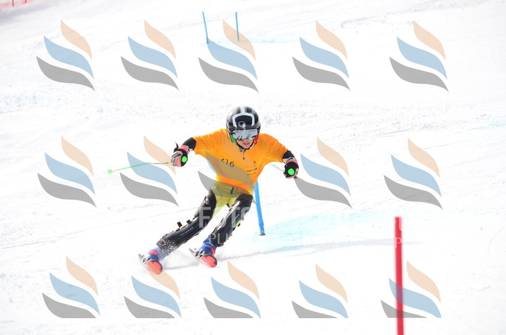 C8210 | holidayphoto