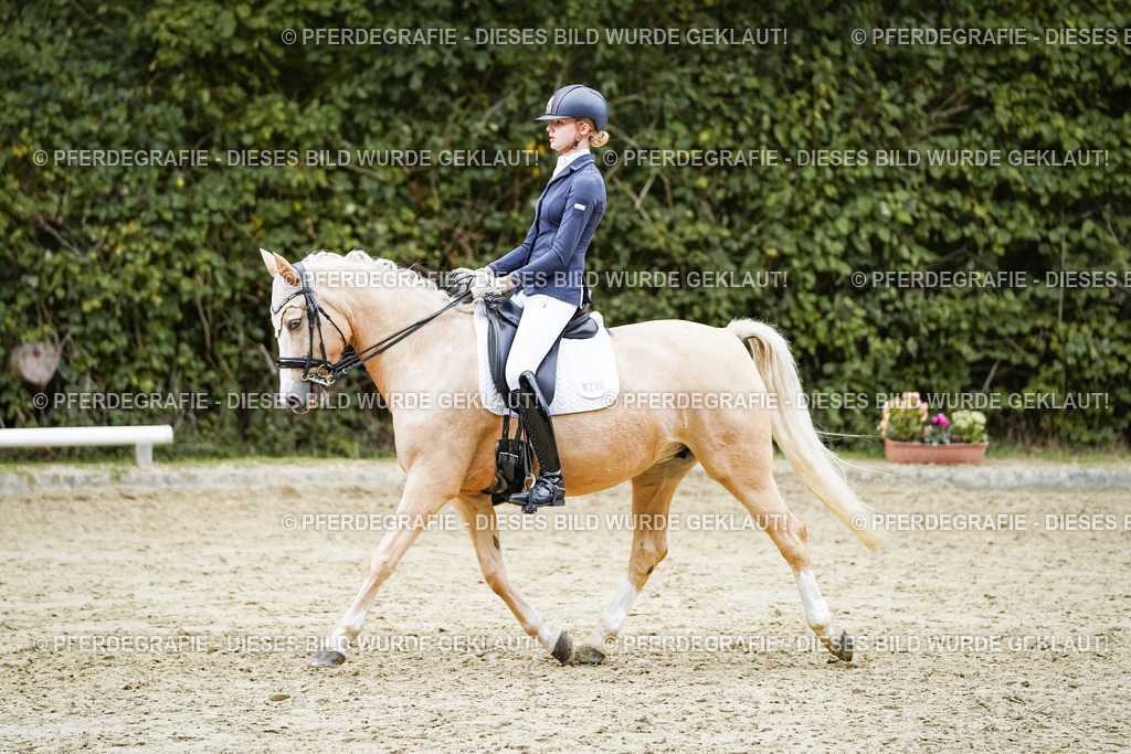 DSC07431 | Pferdegrafie