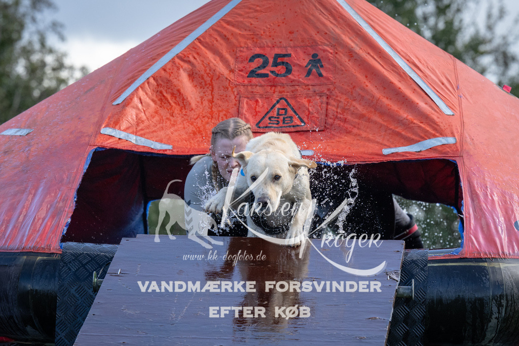 1255-90124 | kk-dogfotos