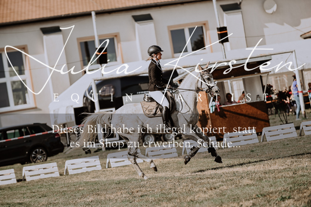 DSC_9497 | Pferde- und Turnierfotografie in Westsachsen. Pferdeportraits, Auftragszeichnungen und intuitive Kunst.