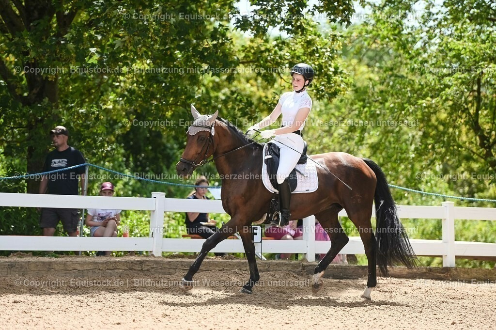 20230715_09_Dressur-WB_0275 | equistock
