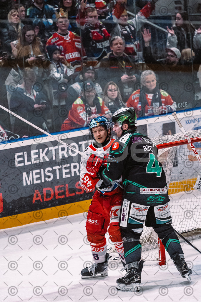 Alligators_vs_Selb_27_02_2026-33 | Höchstadt Alligators Fotogalerie: Eishockey-Action aus Franken. Professionelle Spielfotos, Portraits & Stadionbilder zum Download. Jetzt entdecken! - Realisiert mit Pictrs.com