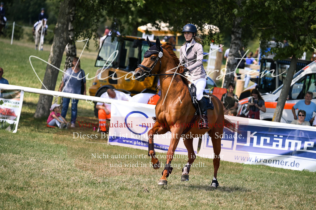 DSC_0222 | Pferde- und Turnierfotografie in Westsachsen. Pferdeportraits, Auftragszeichnungen und intuitive Kunst.