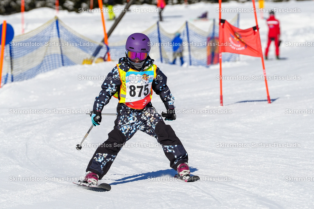 SRF_30.01.2026_0169 | SRF_30.01.2026_0169 - Realisiert mit Pictrs.com