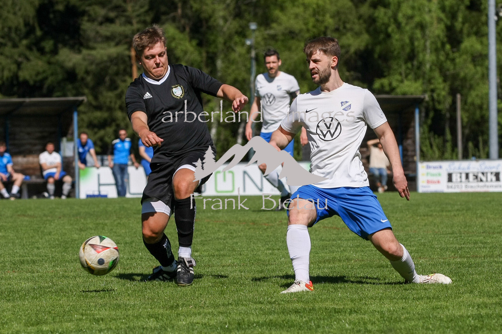 993T6609 | Medien- Sport- Entertainmentfotos