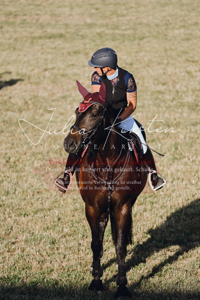 DSC_3279 | Pferde- und Turnierfotografie in Westsachsen. Pferdeportraits, Auftragszeichnungen und intuitive Kunst.