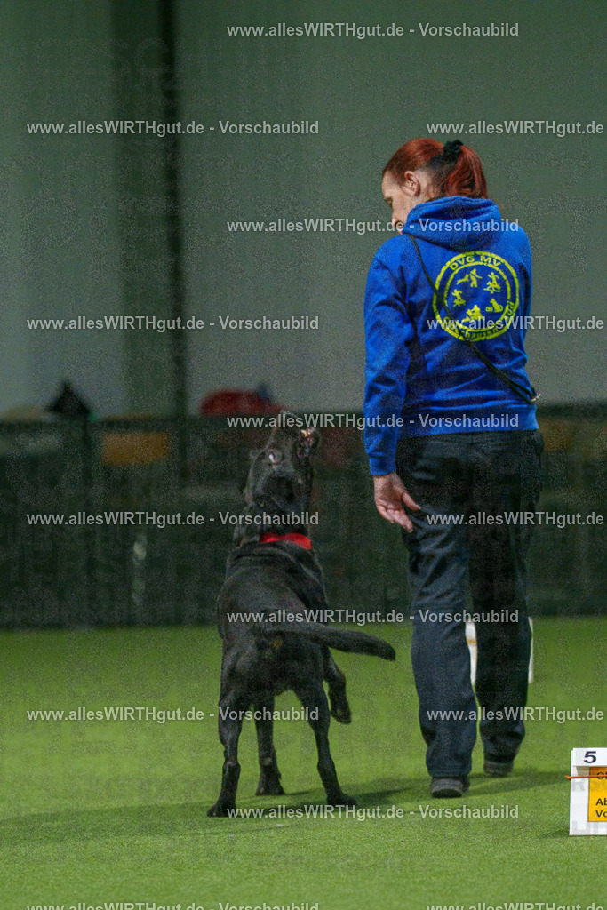 7R508426 | Professionelle Tierfotografie in Mönchengladbach von Daniel Wirth (allesWIRTHgut). Liebevolle & natürliche Bilder von Hunden & Katzen für unvergessliche Erinnerungen.