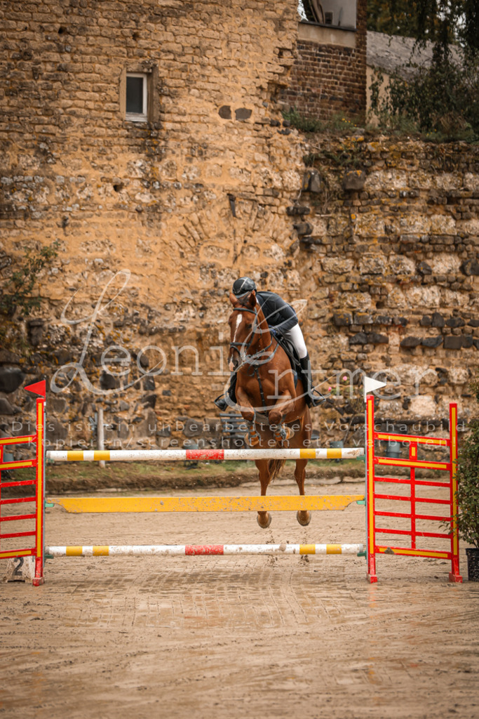 12.SaSpM00170 | Leoni Ertmer Photography - Realisiert mit Pictrs.com