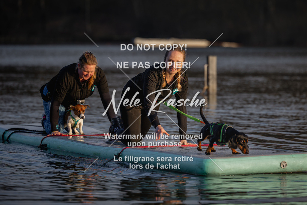 nelerasche_Hulsbeek_Sa1730-Ende_05 | nelerasche