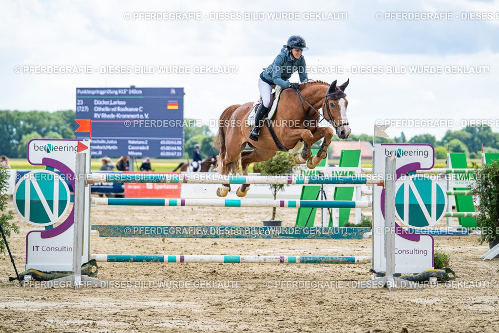 DSC05886 | Pferdegrafie