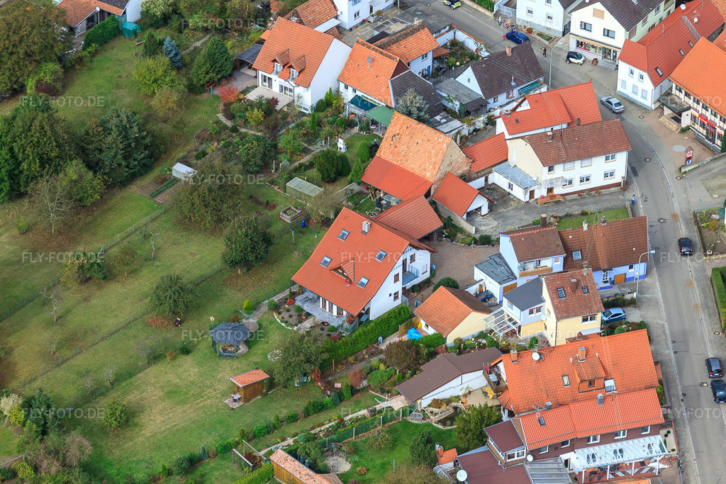 Luftbild: Eichstr in Minfeld im Bundesland Rheinland-Pfalz in Deutschland. Foto: IMG_22560.jpg vom 15.10.2009 durch Werner Riehm/FLY-FOTO.de
