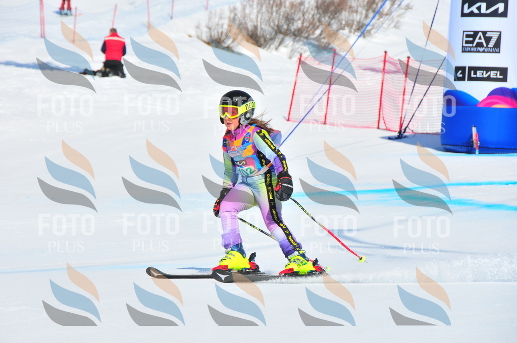 DSC_0738 | holidayphoto