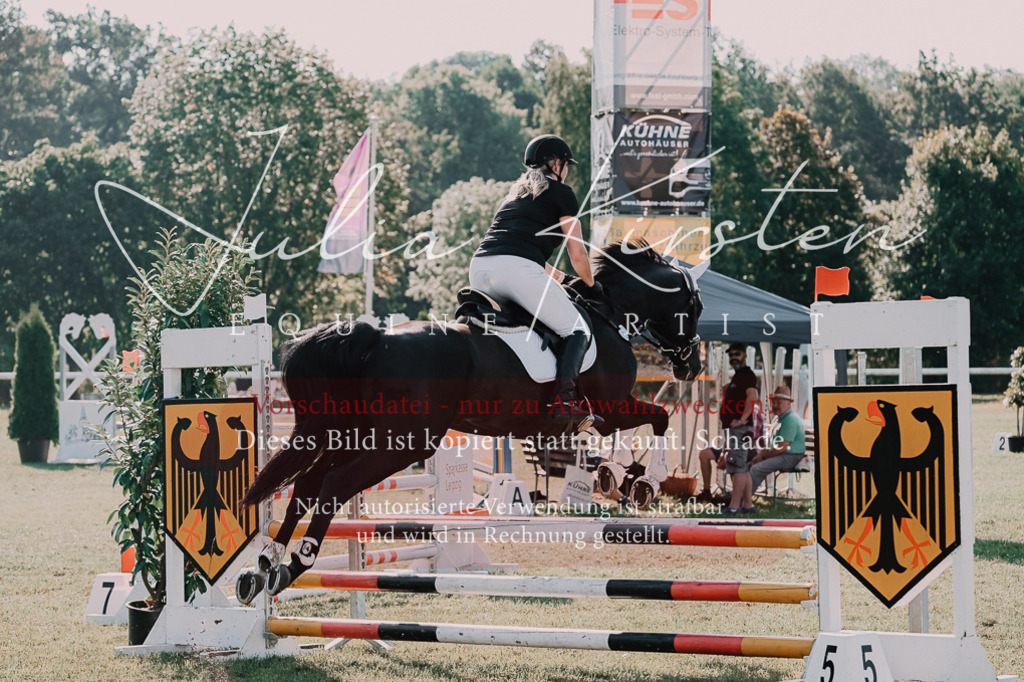 DSC_4762 | Pferde- und Turnierfotografie in Westsachsen. Pferdeportraits, Auftragszeichnungen und intuitive Kunst.