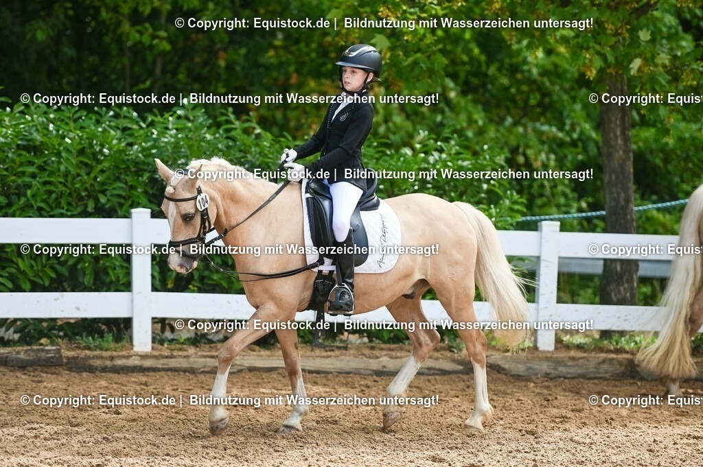 20230716_10-3_Reiter-WB Schritt - Trab - Galopp_0109 | equistock