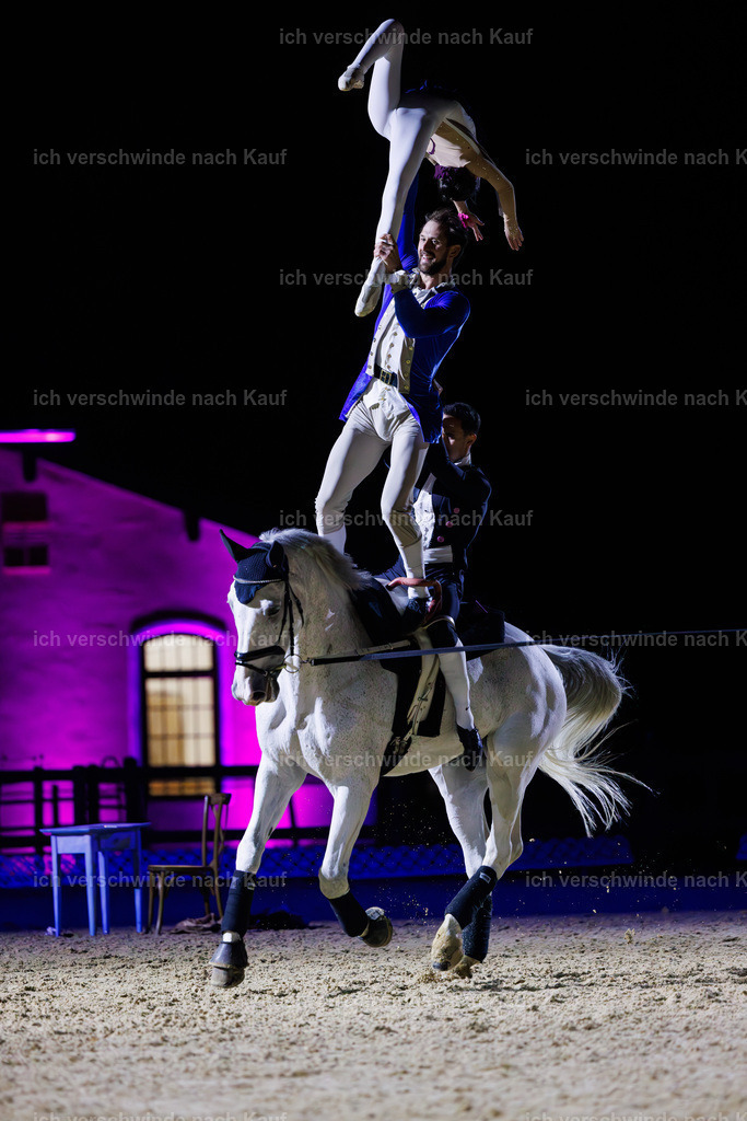 FHClassics-229 | working equitationturnier fotograf videograf stoibphotography marixx film working equitation deutschland reitsport turnierfotografie eventfotografie equestrian events