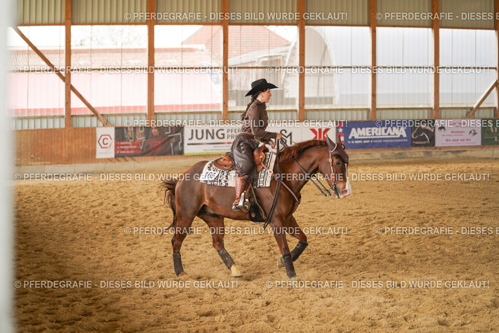 DSC04779 | Pferdegrafie