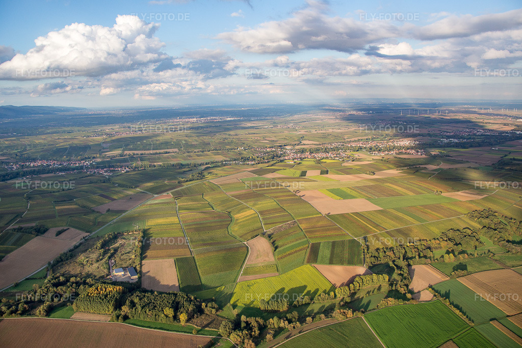 Luftbild: Billigheim-Ingenheim von Süden im Ortsteil Billigheim in Billigheim-Ingenheim im Bundesland Rheinland-Pfalz in Deutschland. Foto: IMG_074633.jpg vom 14.10.2014 durch Werner Riehm/FLY-FOTO.de