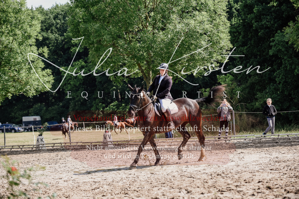 DSC_0216 | Pferde- und Turnierfotografie in Westsachsen. Pferdeportraits, Auftragszeichnungen und intuitive Kunst.