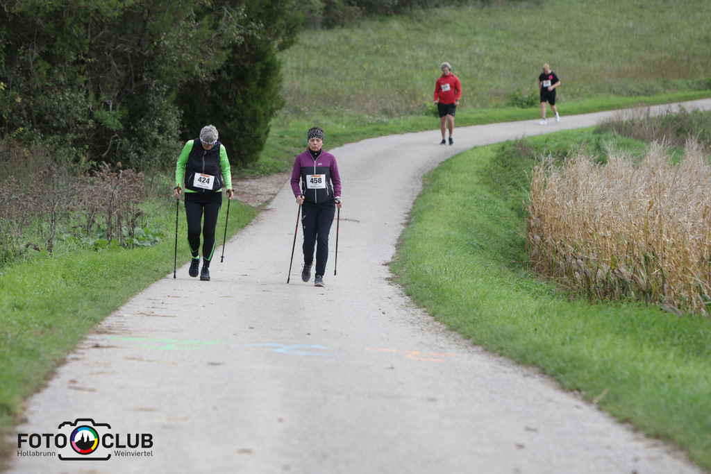 B (229) | Foto Buchgraber