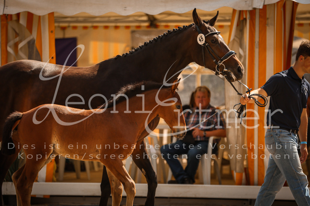 09.DoWBD00036 | Leoni Ertmer Photography - Realisiert mit Pictrs.com