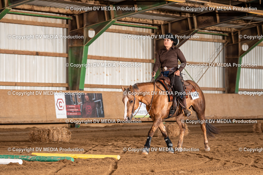 Balingen Tag 2-1864 | dv-media-shop - Realisiert mit Pictrs.com