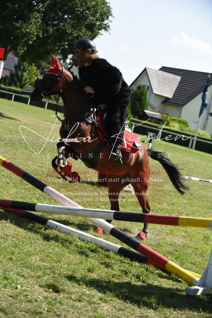 DSC_0306 | Pferde- und Turnierfotografie in Westsachsen. Pferdeportraits, Auftragszeichnungen und intuitive Kunst.