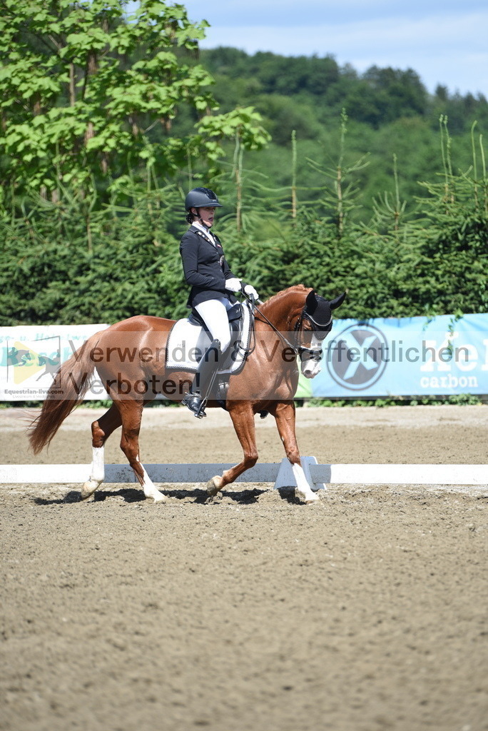 DSC_0221 | equestrian-live-com