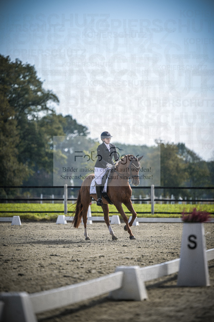 DOS_1300 | Entdecke hochwertige Reitturnierfotos von Foto Oger. Professionell, emotional und authentisch – jetzt Lieblingsmomente im Shop bestellen.Deutschlandweite Turnierfotografie. - Realisiert mit Pictrs.com