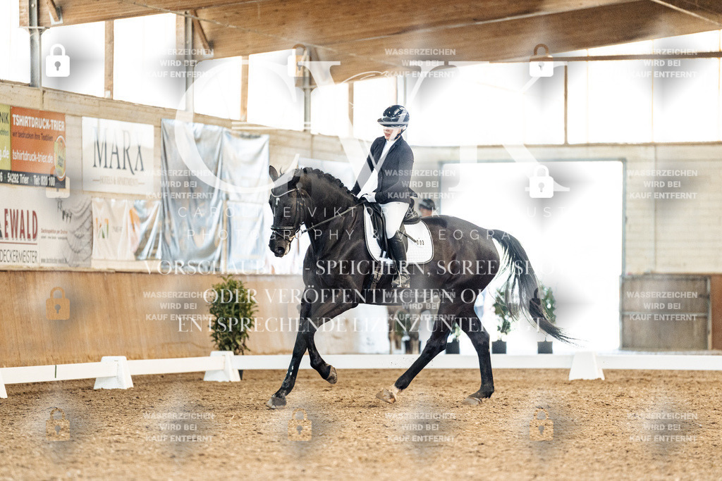 CK909495 | Turnierfotografie Pferdefotografie Trier Rheinland-Pfalz Pferdesport Reitsport Tierfotografie Sportfotografie Pferdevideo Pferdevideografie Equestrianvideography equestrianphotography  - Realisiert mit Pictrs.com