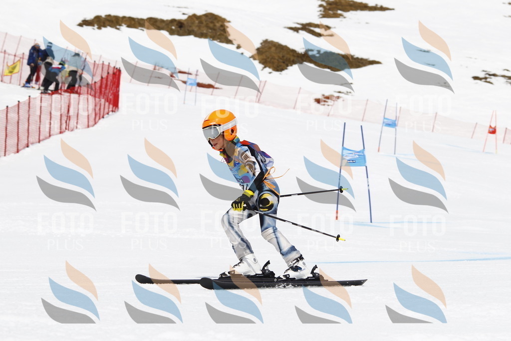 _U3G6875 | holidayphoto