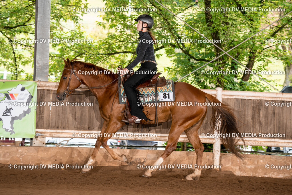 Erbach Tag 1-199 | dv-media-shop - Realisiert mit Pictrs.com