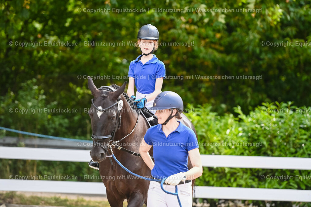 20230716_11_Führzügel-WB_0034 | equistock