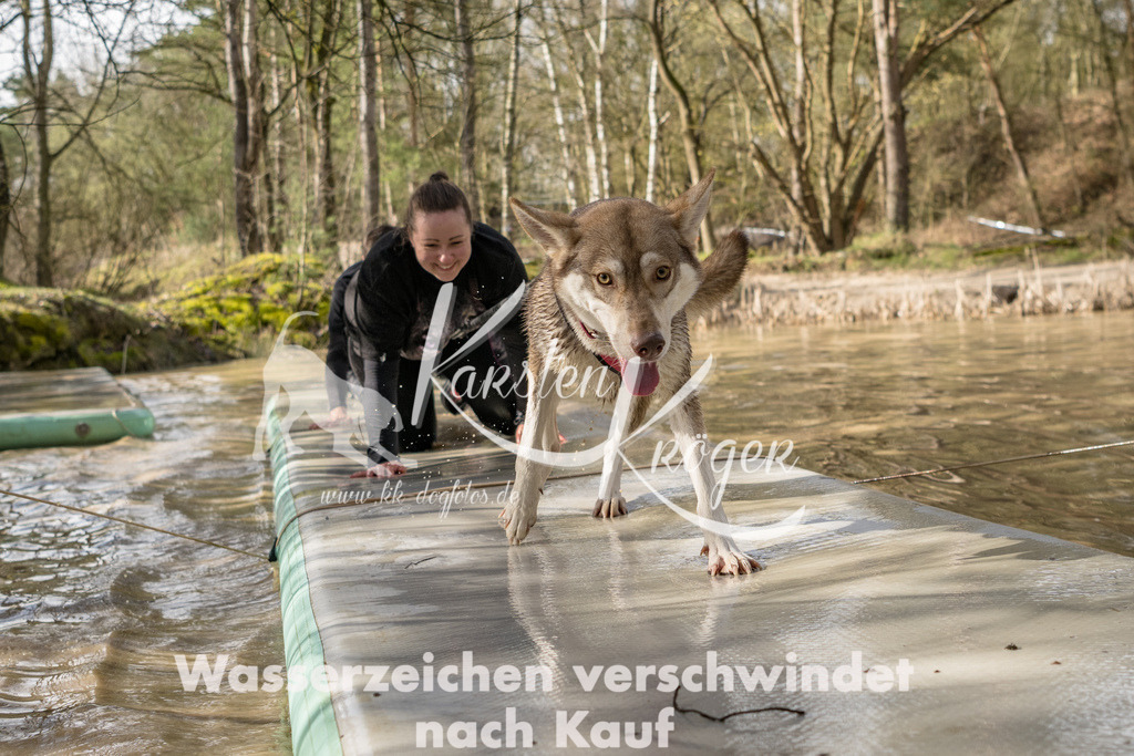 1004_ZZ92449 | kk-dogfotos