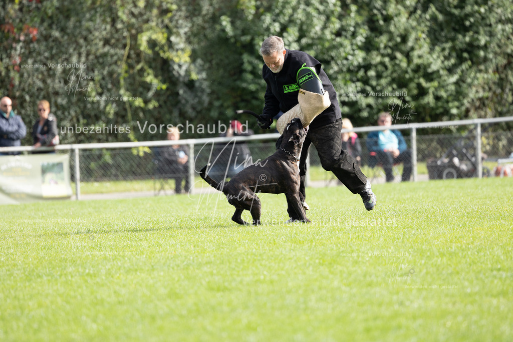_16A5451 | Einzigartige Fotos von Hunden & Menschen –Actionfotos, Portraits, Vereinsaufnahmen & Paarshootings – authentisch, lebendig & mit Herz.
