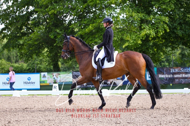 DKP41385 | Turnierfotos kaufen im Webshop von Daniel Kuhl Photography – entdecke professionelle Reitsportfotos aus Turnieren & Events. Hochwertige Turnierbilder online bestellen & sichern. Jetzt Fotos von Reitsportturnieren kaufen!