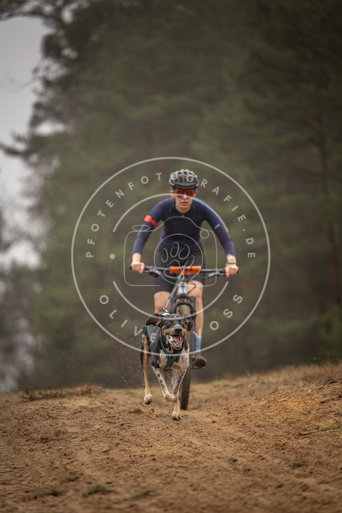 Pfotenfotografie_DV3A2792 | Hundefotografie, Tierfotograf, Pfotenfotografie, Fotoshooting Hund, Hunde Portrait, Hundesport, Hundeportraits, Heideshooting, Hunde, Sportfotograf, Hundefotograf, Turnierhundsport, THS,  - Realisiert mit Pictrs.com